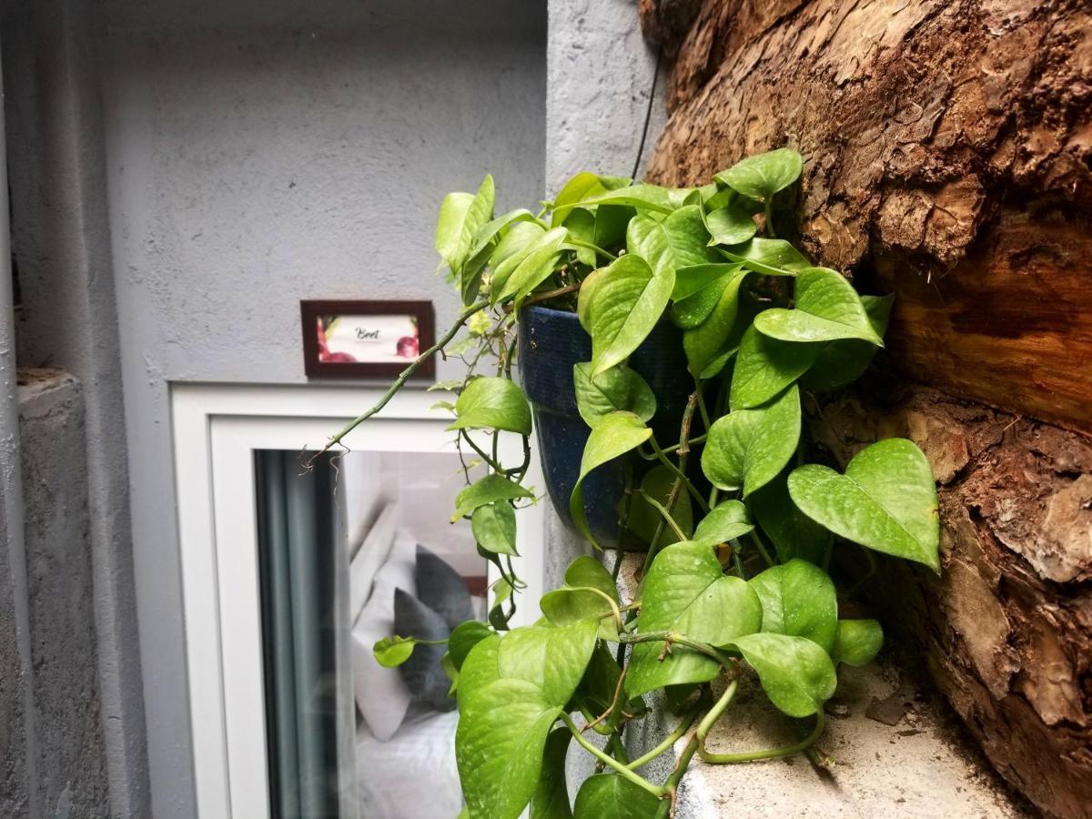 Ribe'S House Apartment Da Lat Exterior photo